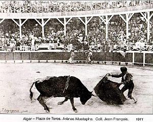 Alger-Mustapha - Arenes - 1911